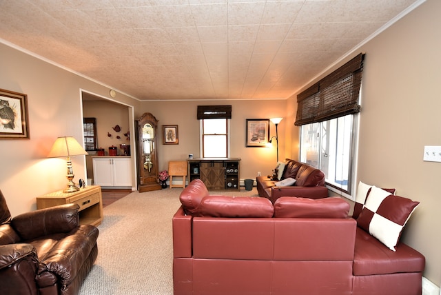 4141 Buena Vista Dr, Greenbush, MI 48738 - carpeted living room with plenty of natural light and ornamental molding