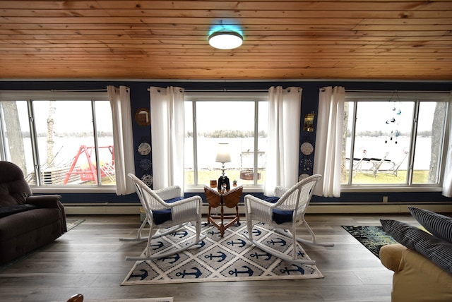 4141 Buena Vista Dr, Greenbush, MI 48738 - living area with healthy amount of natural light, wooden ceiling, wood finished floors, and a baseboard heating unit