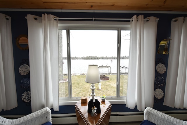 4141 Buena Vista Dr, Greenbush, MI 48738 - detailed view of a baseboard radiator and a nearby body of water