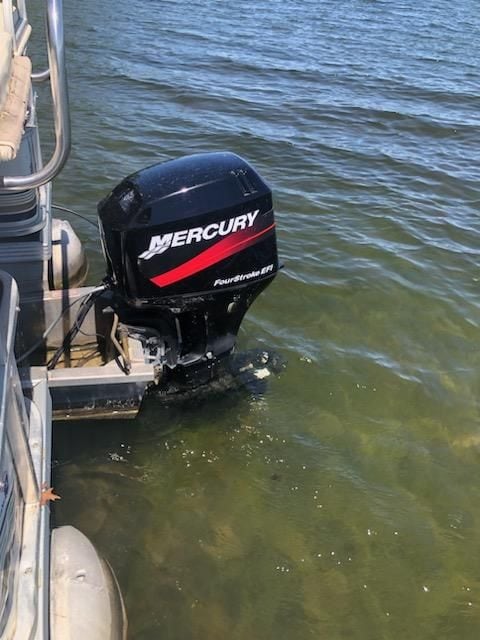 4141 Buena Vista Dr, Greenbush, MI 48738 - dock area featuring a water view