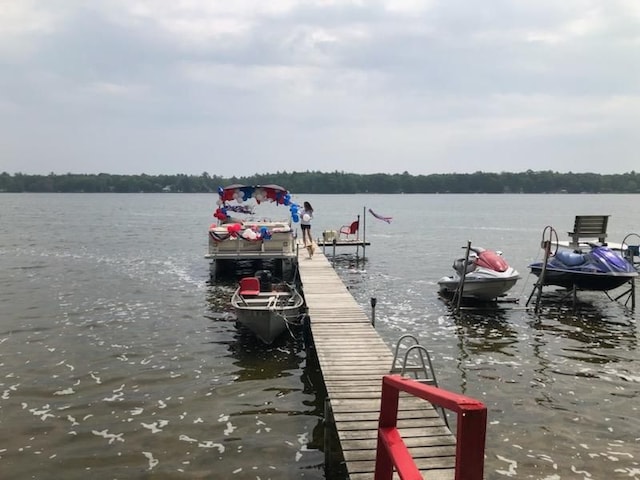 4141 Buena Vista Dr, Greenbush, MI 48738 - dock area with a water view