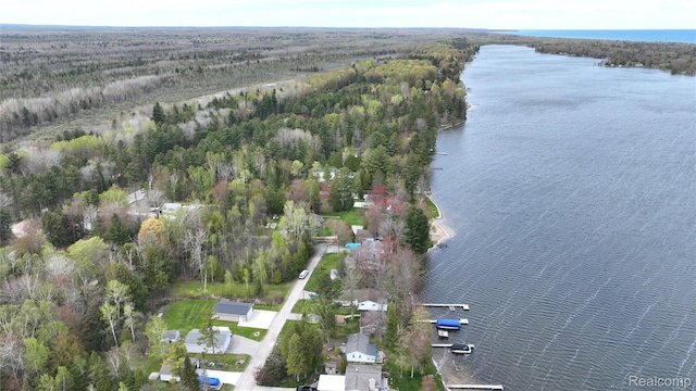 4141 Buena Vista Dr, Greenbush, MI 48738 - aerial view of property and surrounding area featuring a large body of water and a forest