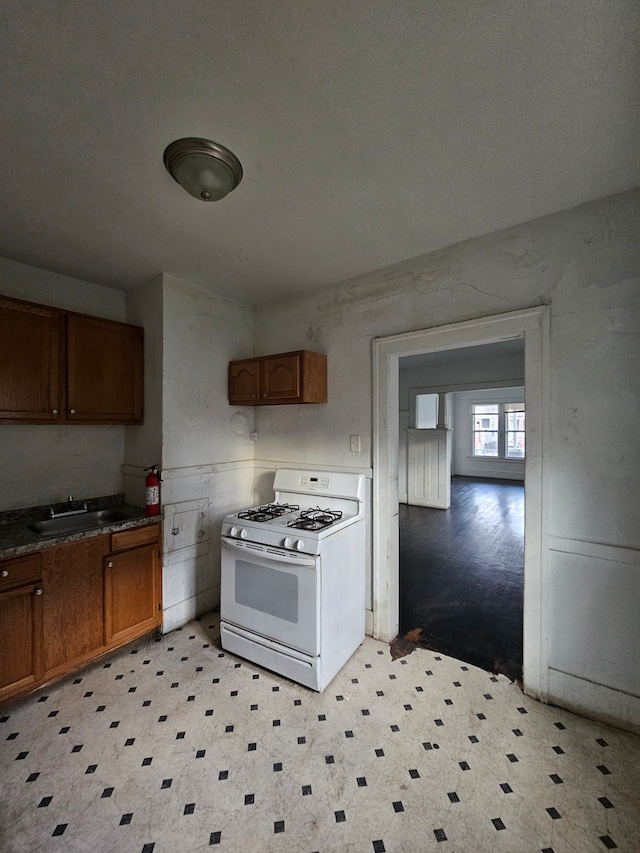 kitchen featuring sink and gas range gas stove