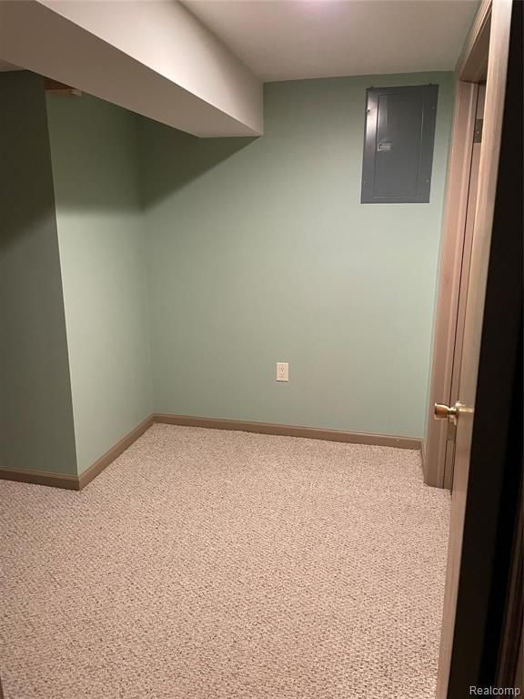 basement featuring electric panel and carpet floors