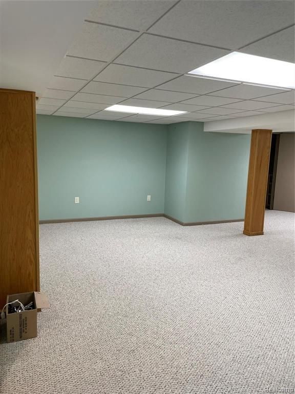 basement with carpet