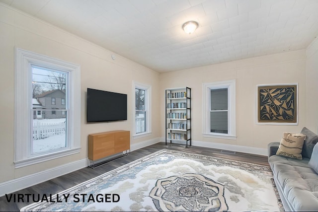 living room featuring dark wood-type flooring