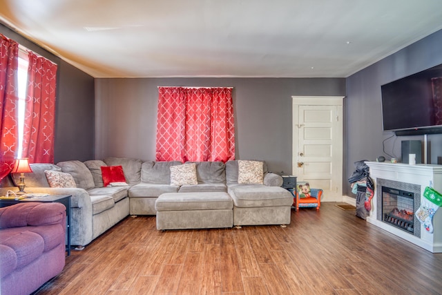 living room with wood-type flooring