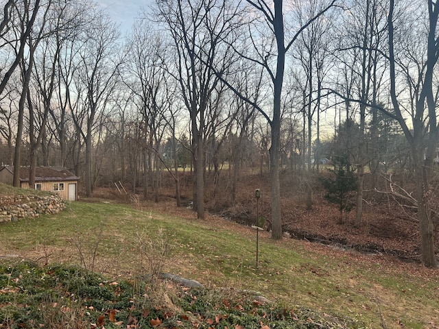 view of yard with a shed