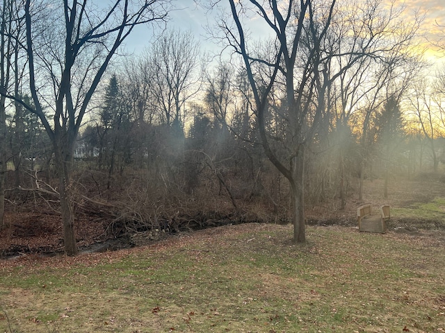 view of yard at dusk