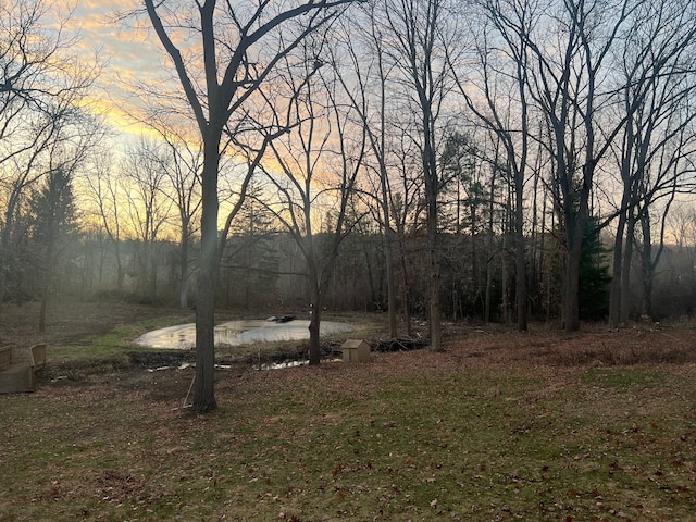 view of yard at dusk