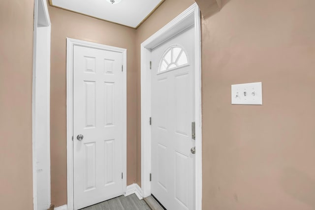 entryway featuring wood-type flooring