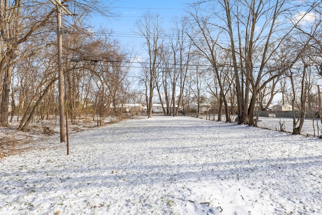 view of yard covered in snow