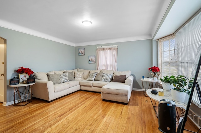 living room featuring light hardwood / wood-style flooring and crown molding