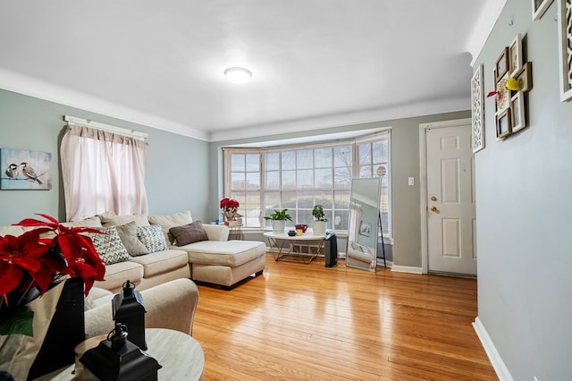 living room with hardwood / wood-style flooring