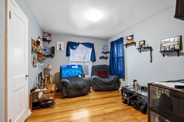 living area featuring light hardwood / wood-style floors