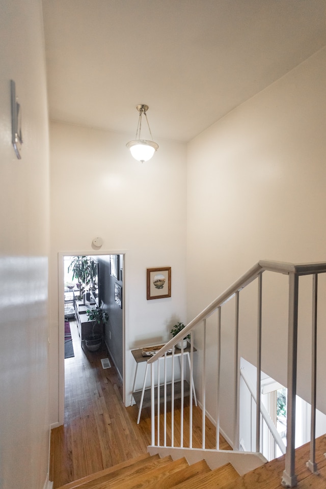 stairs with a wealth of natural light, wood-type flooring, and a high ceiling