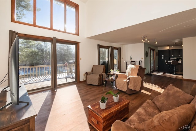 living room with a towering ceiling, dark hardwood / wood-style floors, and plenty of natural light