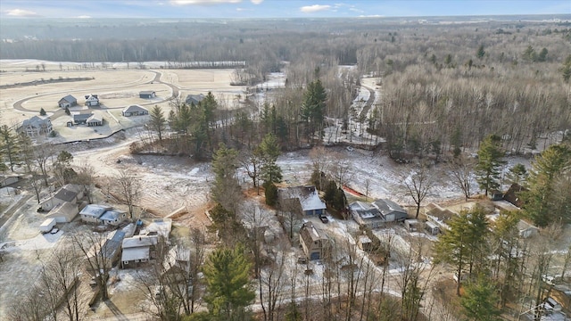 856 Pawtucket Dr, Hope, MI 48628 - drone / aerial view featuring a forest view