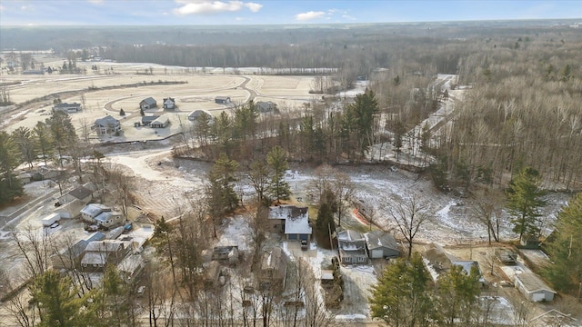 856 Pawtucket Dr, Hope, MI 48628 - drone / aerial view