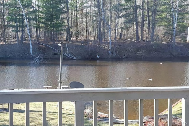 view of water feature