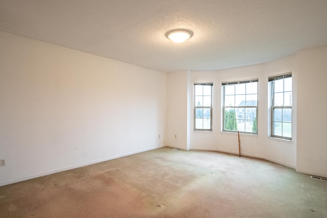 spare room featuring carpet and a textured ceiling