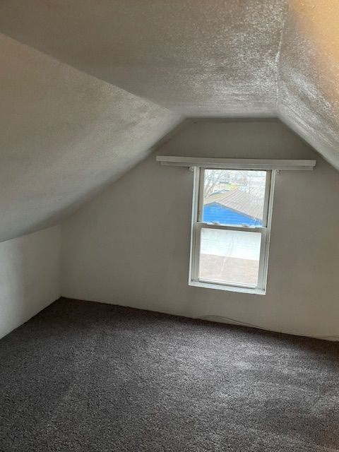 bonus room with lofted ceiling, carpet, and a textured ceiling