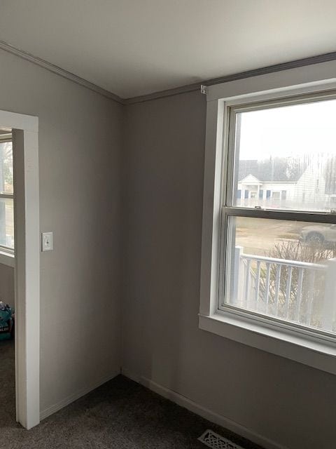 empty room featuring a wealth of natural light and dark colored carpet