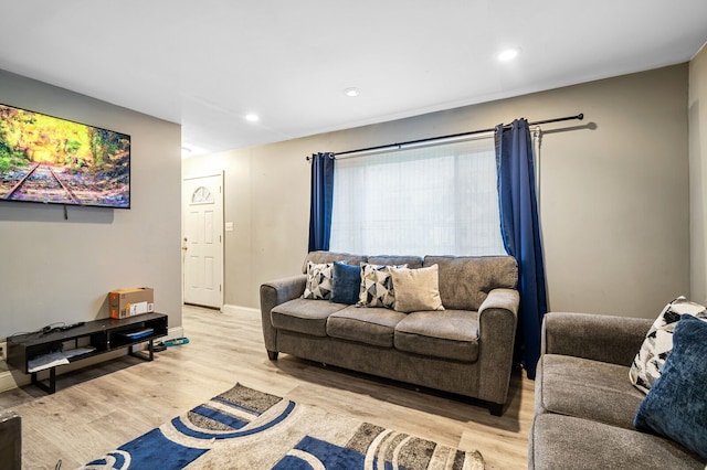 living room featuring light hardwood / wood-style floors