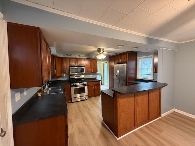 kitchen with kitchen peninsula, appliances with stainless steel finishes, light wood-type flooring, and sink