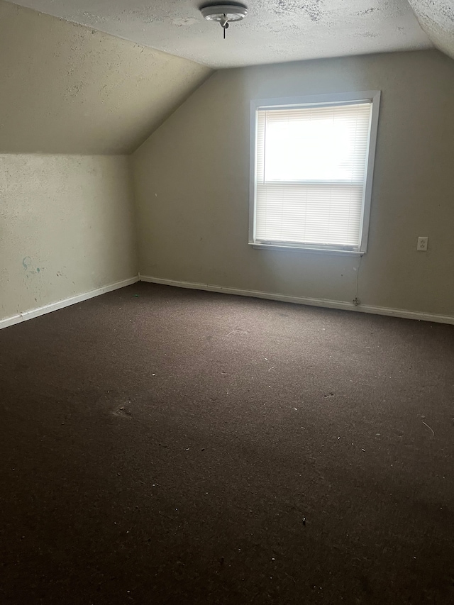 bonus room with carpet, a textured ceiling, and vaulted ceiling