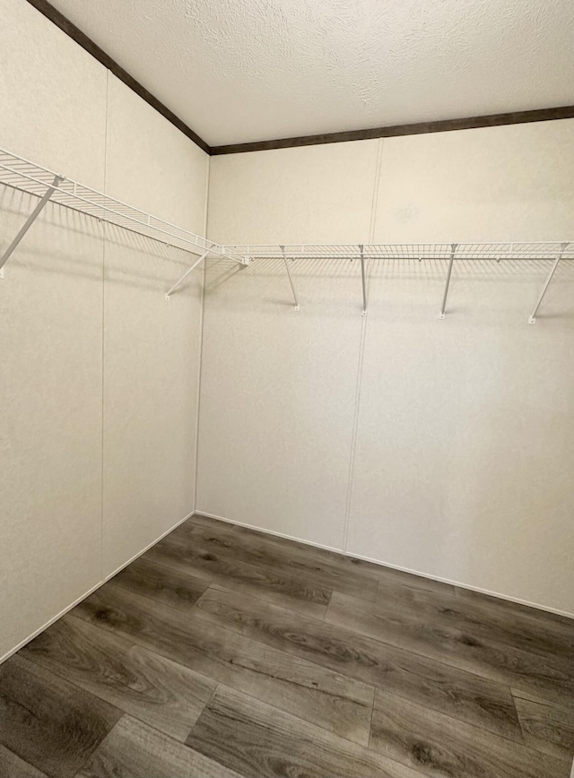 walk in closet featuring dark wood-type flooring