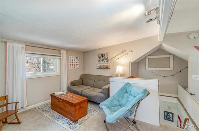 carpeted living room with a textured ceiling