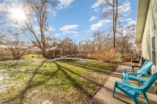 view of yard featuring a storage shed and a trampoline