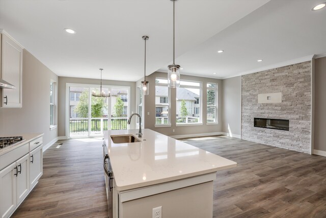 kitchen with pendant lighting, plenty of natural light, sink, and an island with sink