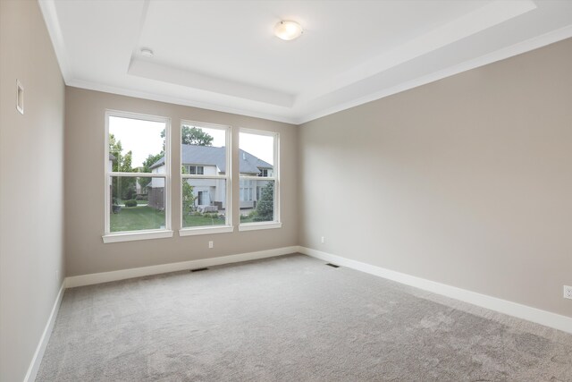 spare room featuring light carpet, a raised ceiling, and crown molding