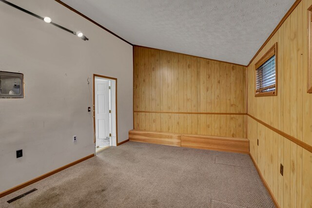 7493 S Saginaw St, New Lothrop, MI 48460 - carpeted empty room with wood walls, lofted ceiling, and a textured ceiling