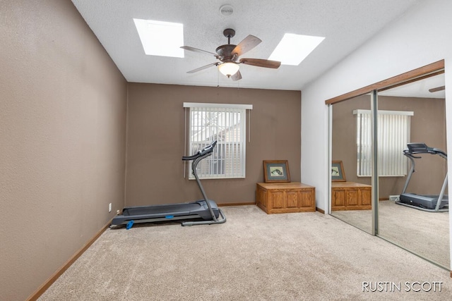 2008 Parker Dr, Wayland, MI 49348 - exercise area featuring baseboards, a skylight, and carpet