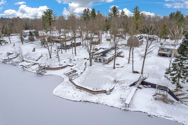 1571 Loebrich Dr, Gladwin, MI 48624 - view of snowy aerial view