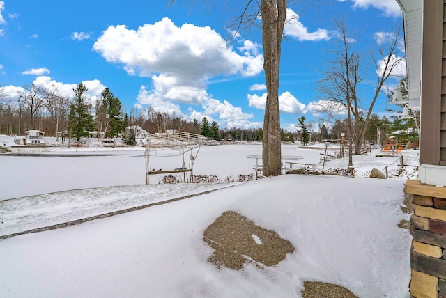 view of yard covered in snow