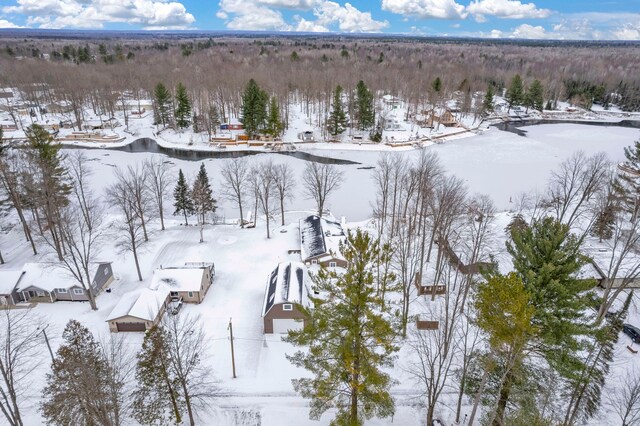 1571 Loebrich Dr, Gladwin, MI 48624 - view of snowy aerial view