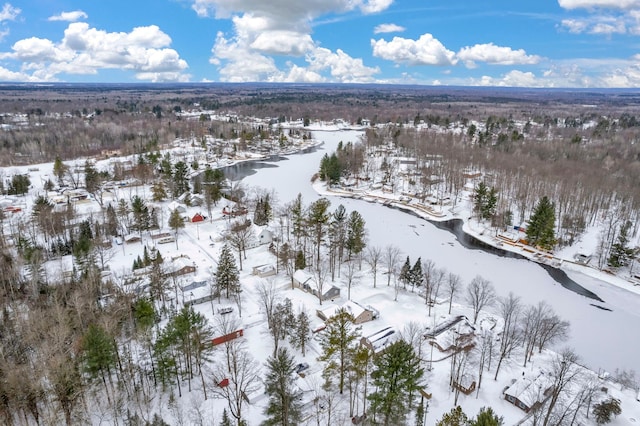 1571 Loebrich Dr, Gladwin, MI 48624 - view of snowy aerial view