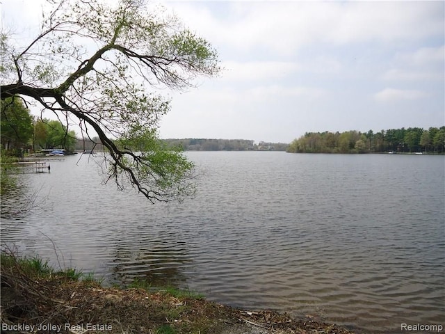 view of water feature