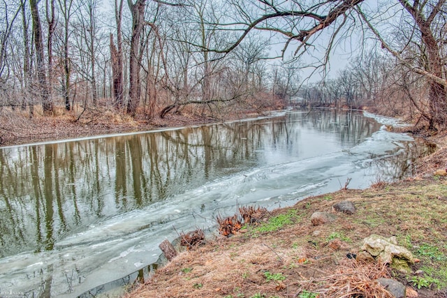 property view of water