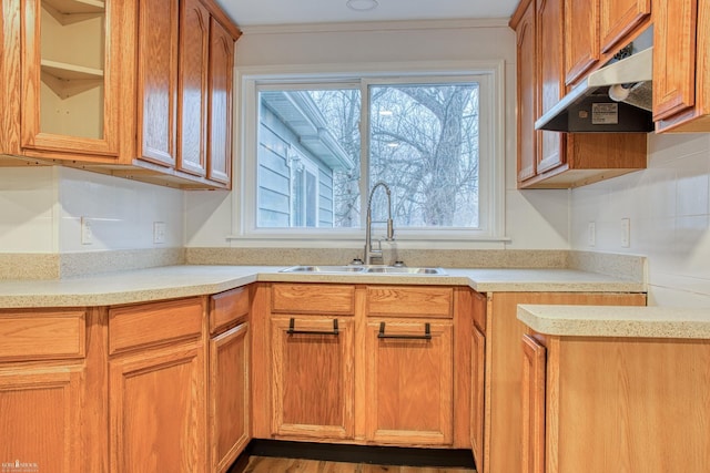 kitchen featuring hardwood / wood-style flooring and sink