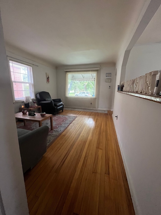 living room with plenty of natural light and light wood-type flooring