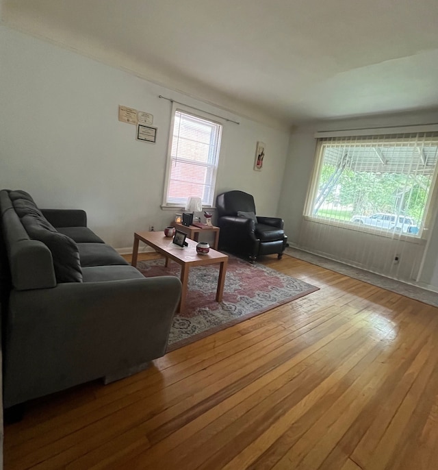 living room featuring light hardwood / wood-style floors