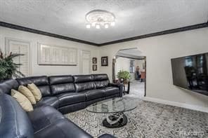 living room featuring a textured ceiling, carpet floors, and ornamental molding