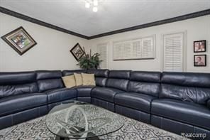 living room with ornamental molding