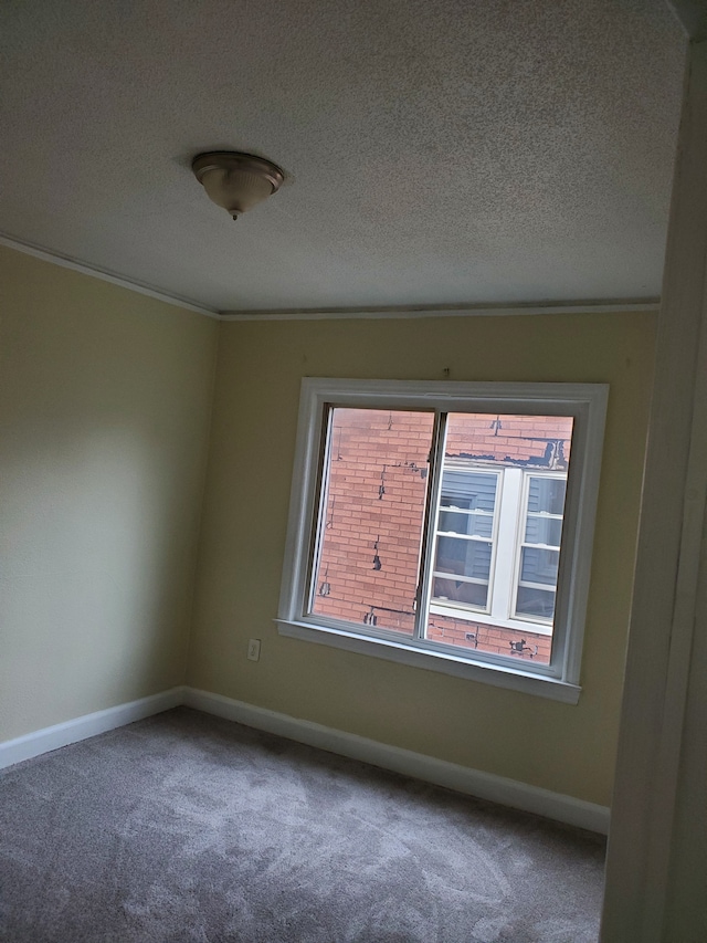 carpeted empty room featuring a healthy amount of sunlight, ornamental molding, and a textured ceiling