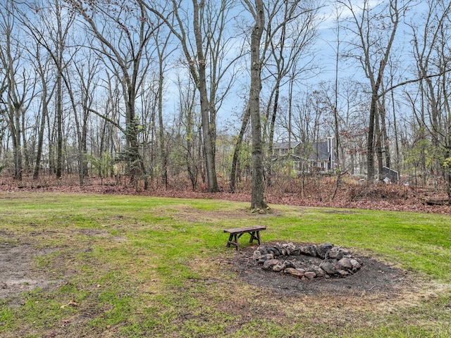 view of yard featuring an outdoor fire pit